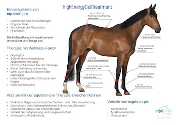 equinetic uebersicht 01