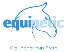 logo equinetic